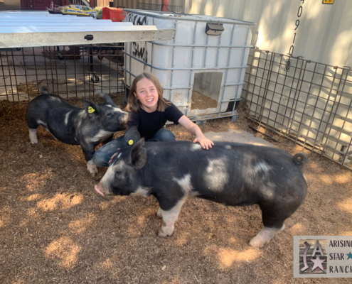 Girl with Pigs
